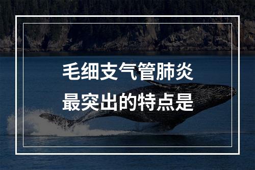 毛细支气管肺炎最突出的特点是