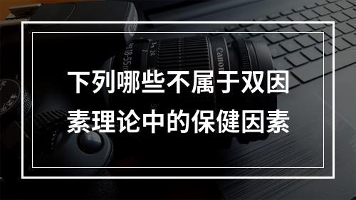 下列哪些不属于双因素理论中的保健因素