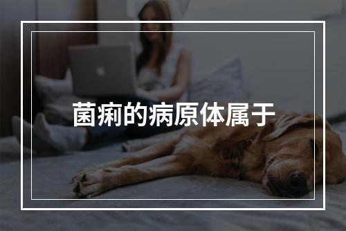 菌痢的病原体属于