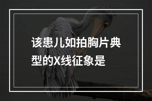 该患儿如拍胸片典型的X线征象是