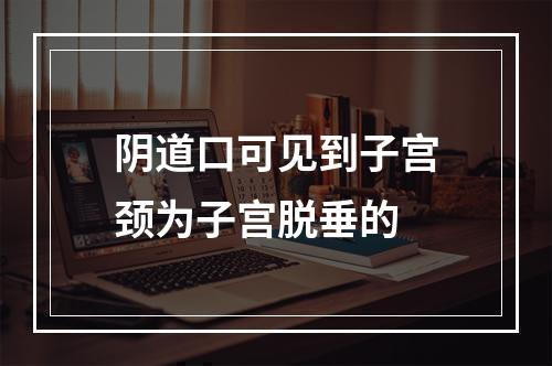 阴道口可见到子宫颈为子宫脱垂的