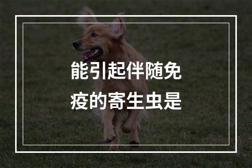 能引起伴随免疫的寄生虫是