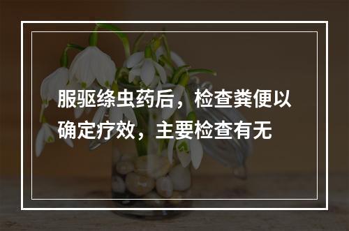 服驱绦虫药后，检查粪便以确定疗效，主要检查有无