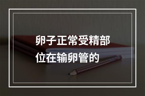 卵子正常受精部位在输卵管的