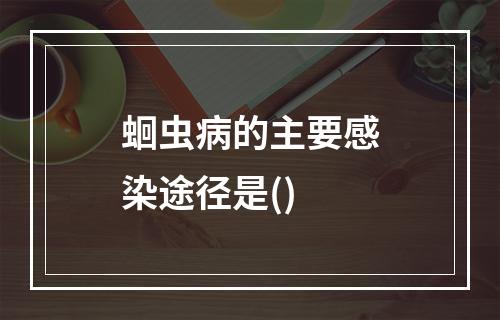 蛔虫病的主要感染途径是()