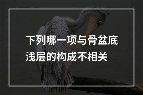 下列哪一项与骨盆底浅层的构成不相关