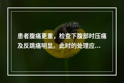 患者腹痛更重，检查下腹部时压痛及反跳痛明显。此时的处理应是