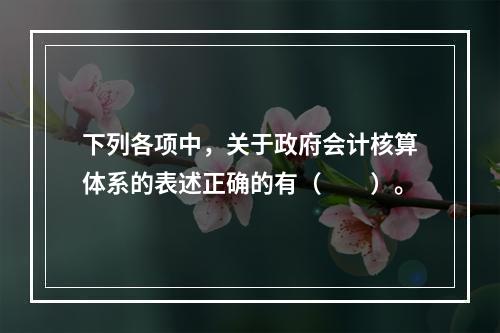 下列各项中，关于政府会计核算体系的表述正确的有（　　）。