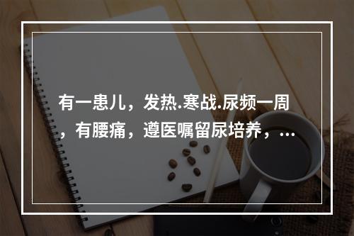 有一患儿，发热.寒战.尿频一周，有腰痛，遵医嘱留尿培养，下列