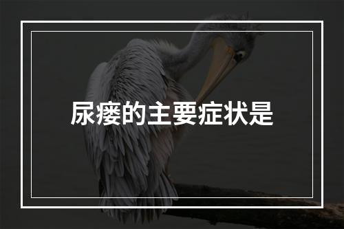 尿瘘的主要症状是