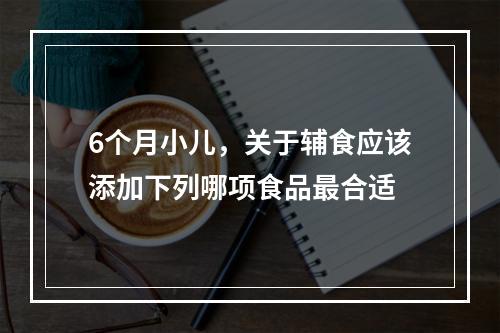 6个月小儿，关于辅食应该添加下列哪项食品最合适