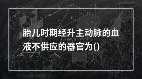 胎儿时期经升主动脉的血液不供应的器官为()