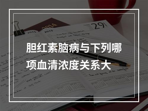 胆红素脑病与下列哪项血清浓度关系大