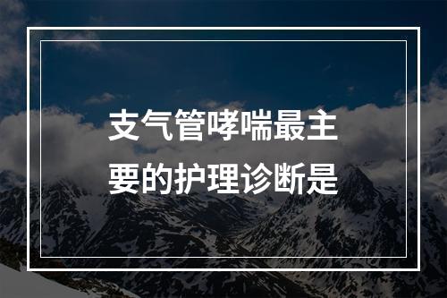 支气管哮喘最主要的护理诊断是