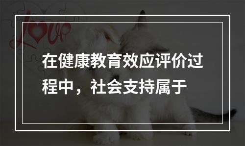 在健康教育效应评价过程中，社会支持属于