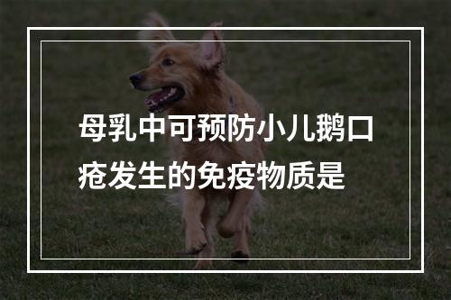 母乳中可预防小儿鹅口疮发生的免疫物质是