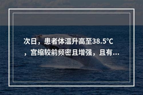 次日，患者体温升高至38.5℃，宫缩较前频密且增强，且有明显