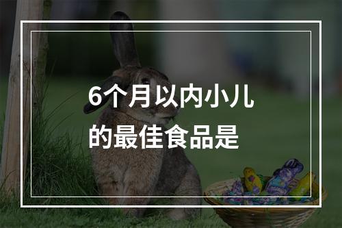 6个月以内小儿的最佳食品是