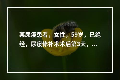 某尿瘘患者，女性，59岁，已绝经，尿瘘修补术术后第3天，下列