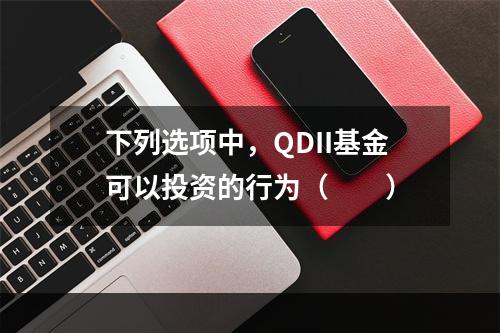 下列选项中，QDII基金可以投资的行为（　　）