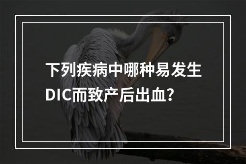 下列疾病中哪种易发生DIC而致产后出血？