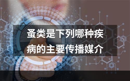 蚤类是下列哪种疾病的主要传播媒介