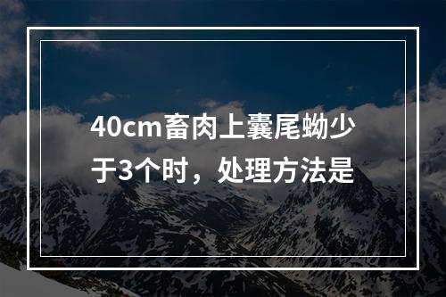 40cm畜肉上囊尾蚴少于3个时，处理方法是