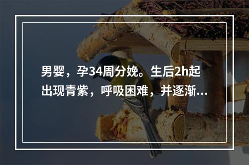 男婴，孕34周分娩。生后2h起出现青紫，呼吸困难，并逐渐加重