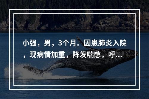 小强，男，3个月。因患肺炎入院，现病情加重，阵发喘憋，呼吸急