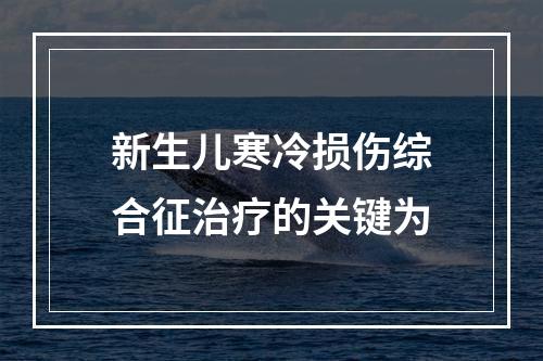 新生儿寒冷损伤综合征治疗的关键为