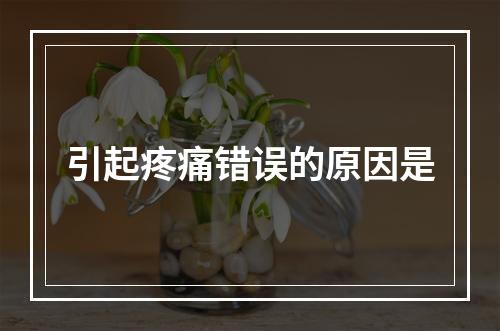 引起疼痛错误的原因是