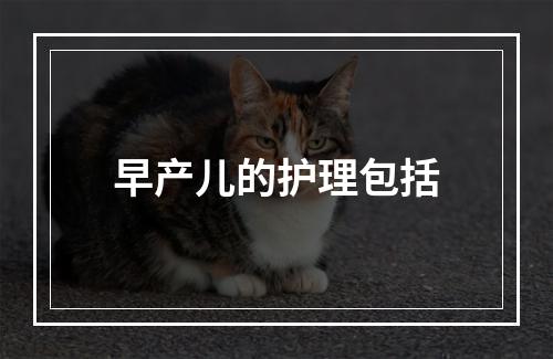 早产儿的护理包括