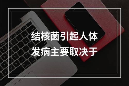 结核菌引起人体发病主要取决于