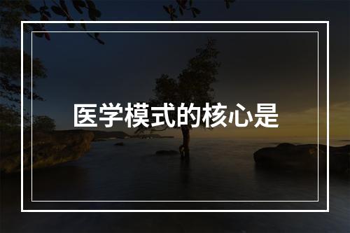 医学模式的核心是