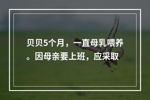 贝贝5个月，一直母乳喂养。因母亲要上班，应采取