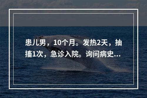 患儿男，10个月。发热2天，抽搐1次，急诊入院。询问病史，其