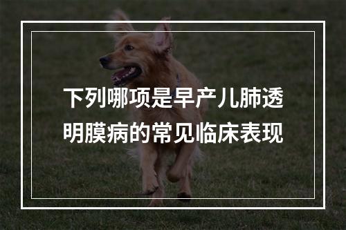 下列哪项是早产儿肺透明膜病的常见临床表现