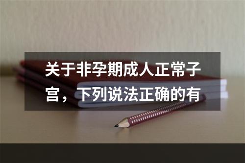 关于非孕期成人正常子宫，下列说法正确的有