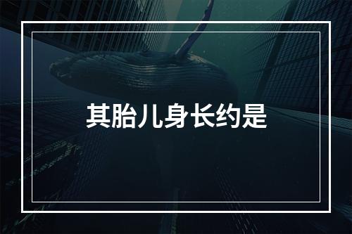 其胎儿身长约是