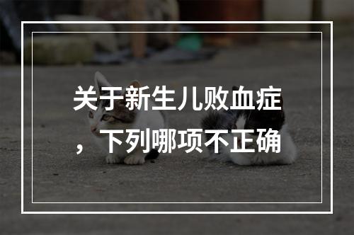 关于新生儿败血症，下列哪项不正确