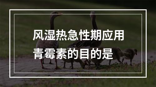 风湿热急性期应用青霉素的目的是