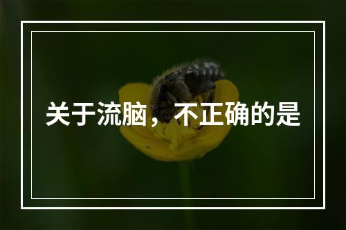 关于流脑，不正确的是