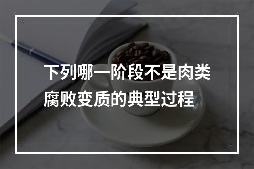 下列哪一阶段不是肉类腐败变质的典型过程