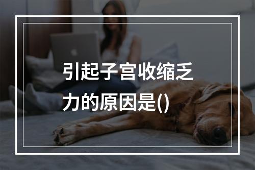 引起子宫收缩乏力的原因是()