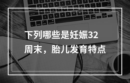 下列哪些是妊娠32周末，胎儿发育特点