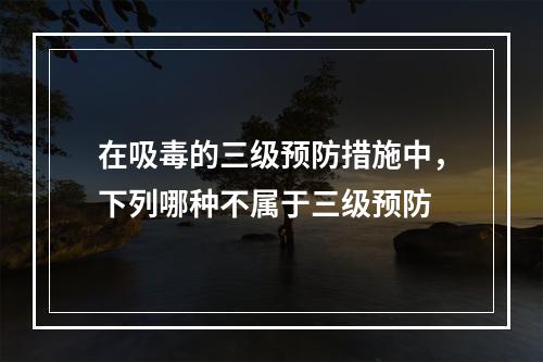 在吸毒的三级预防措施中，下列哪种不属于三级预防