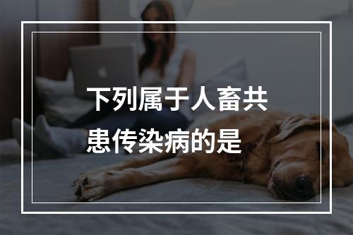 下列属于人畜共患传染病的是