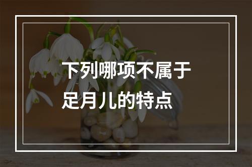 下列哪项不属于足月儿的特点