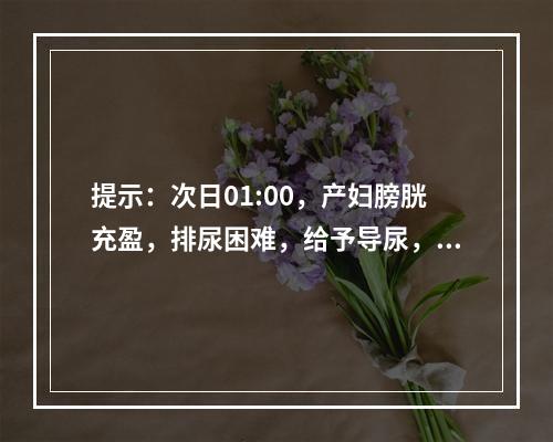 提示：次日01:00，产妇膀胱充盈，排尿困难，给予导尿，阴道