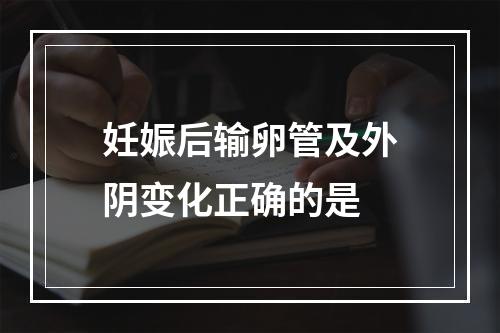 妊娠后输卵管及外阴变化正确的是